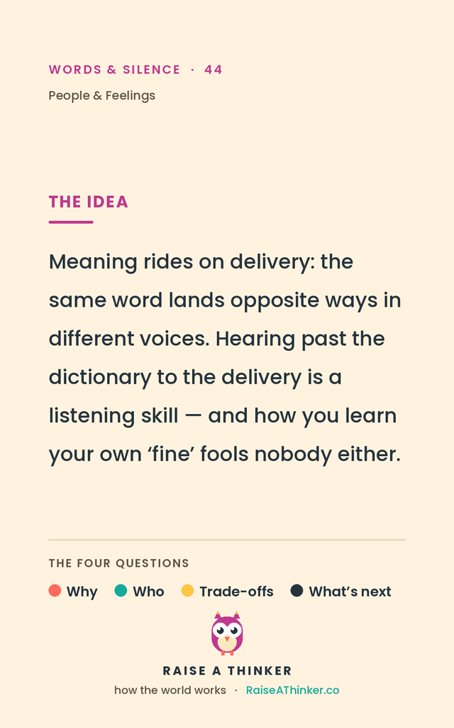The back of a People & Feelings card, with the grown-up idea note